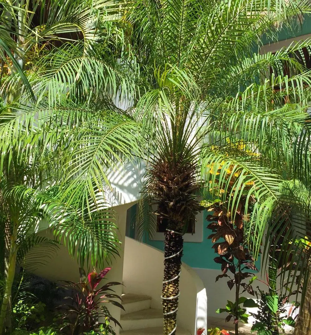 Toto Blue Hotel Boutique Bacalar